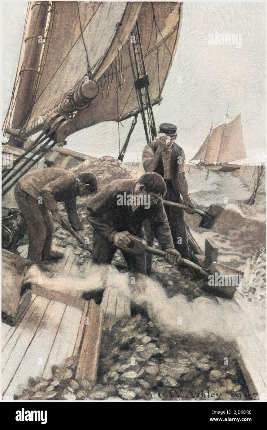 Amerikanische Austern aus New Jersey "Pflanzen" am Ende der Saison, im April, Millionen junger, unverkäuflicher Austern, die später im Jahr "geerntet" werden sollen. Kolorierte Version von : 10183452 Datum: 1789 Stockfoto