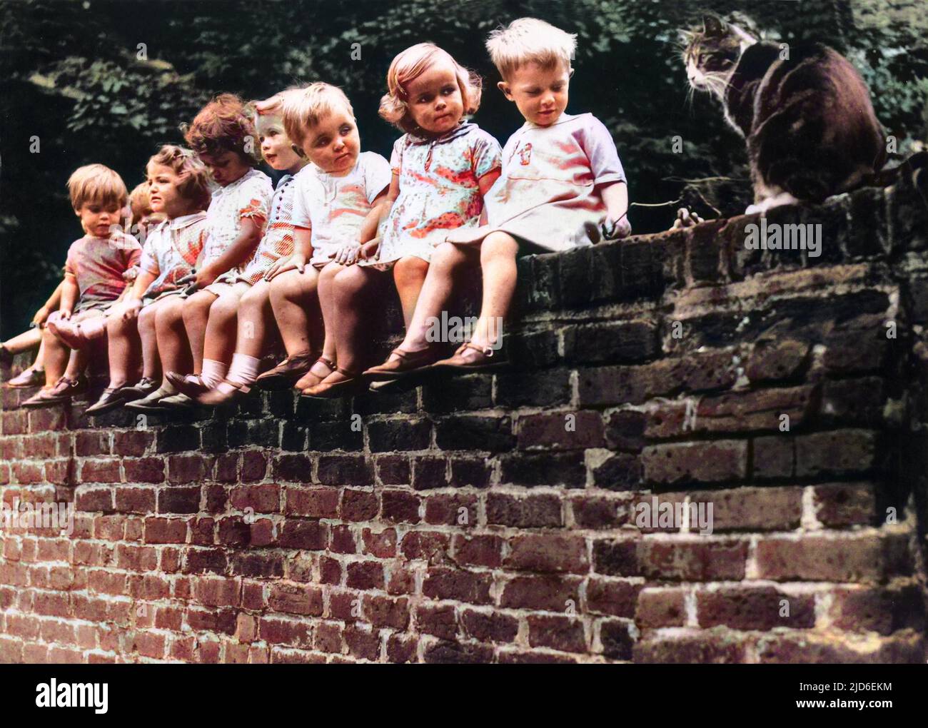 Eine Reihe von Kindern, die an einer Wand sitzen und eine Katze beobachten! Kolorierte Version von : 10150555 Datum: 1930s Stockfoto