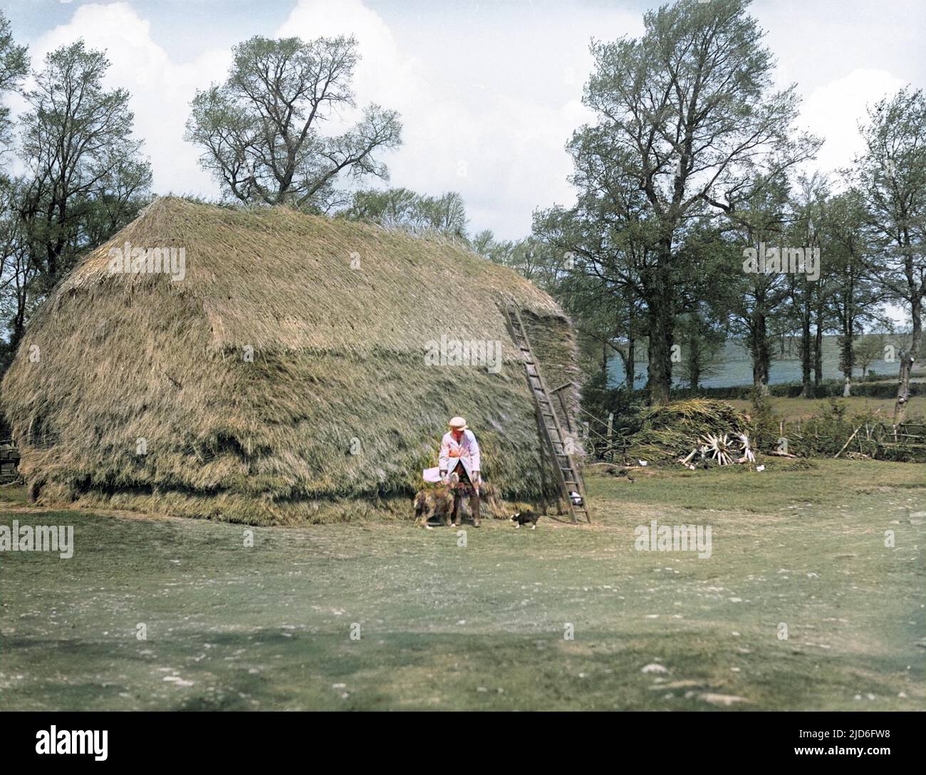 Ein großer Heuhaufen auf einer englischen Farm. Kolorierte Version von : 10168155 Datum: Anfang 1930s Stockfoto