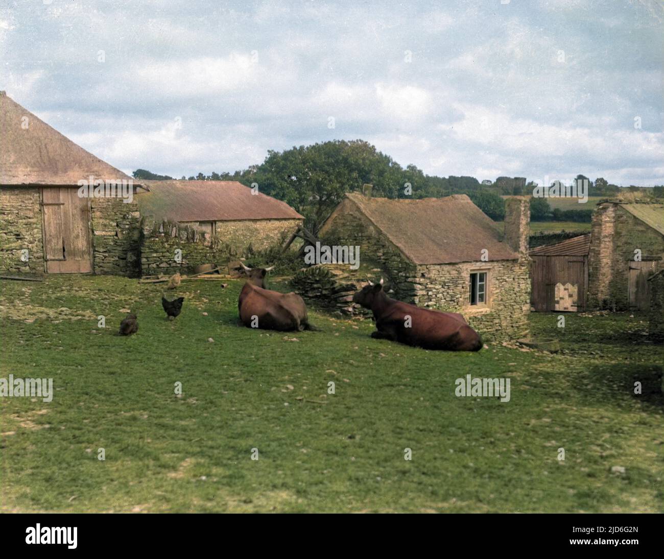 Hühner, Kühe, Scheunen und Nebengebäude, eine typische Bauernhofszene, Devon, England. Kolorierte Version von : 10168163 Datum: Anfang 1930s Stockfoto