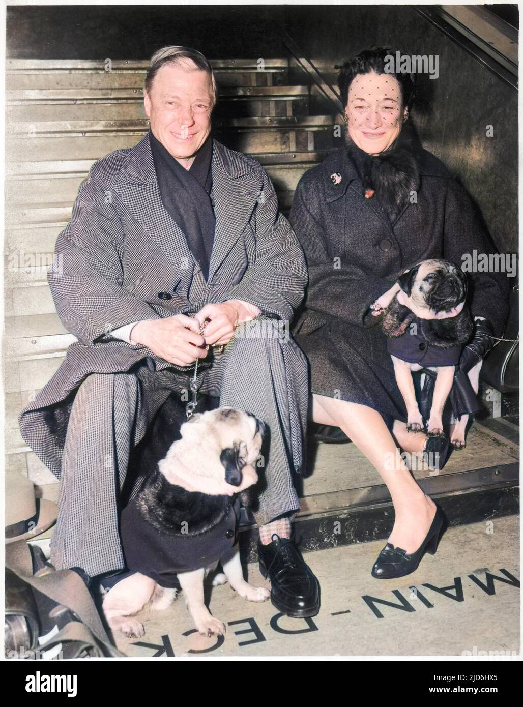 Der Herzog und die Herzogin von Windsor (früher König Edward VIII. Und Frau Wallis Simpson) wurde mit ihren geliebten Moorhunden gezeigt. Die Hunde tragen ziemlich stylische Mäntel. Kolorierte Version von: 10224123 Datum: c. 1955 Stockfoto