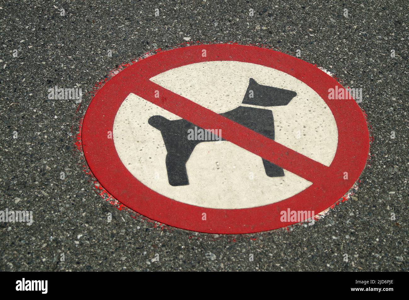 Dieser Bereich ist für Hunde verboten. Das ist auf den Asphalt gemalt Stockfoto