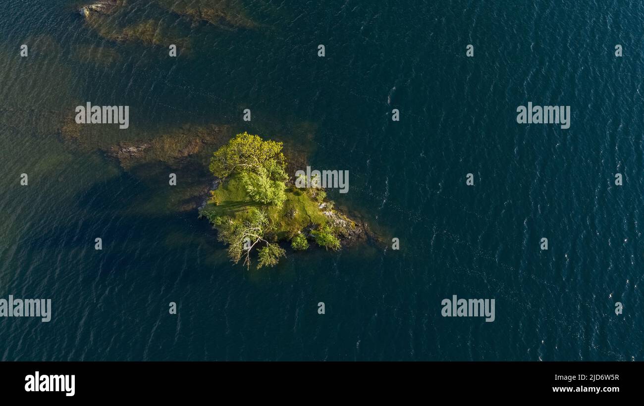 Eine Luftaufnahme eines einalleine wachsenden Baumes auf seiner eigenen Insel auf Crummock Water im Lake District, Großbritannien Stockfoto