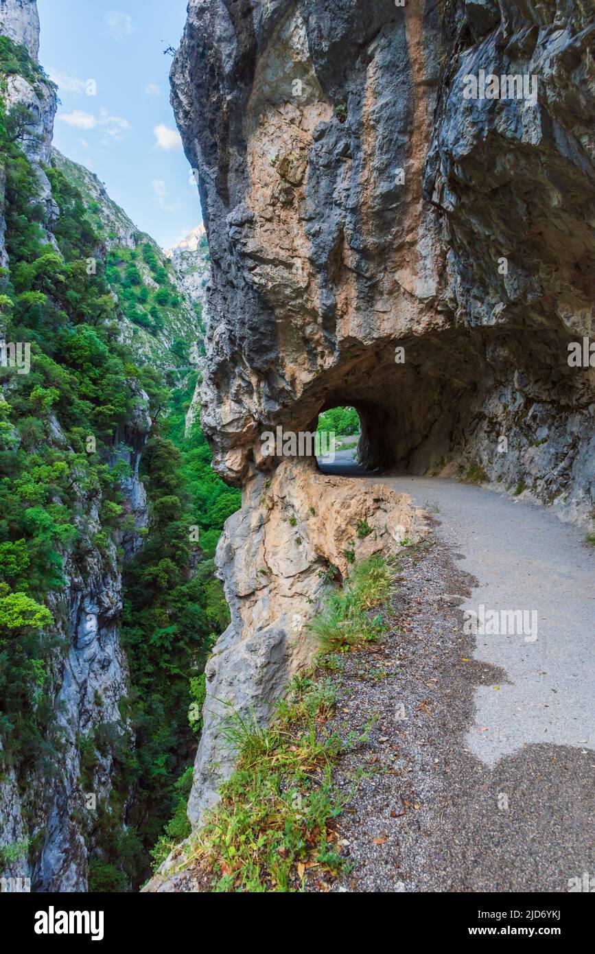 Senda del rio Cares, ein Weg, der durch eine Schlucht in den Picos de Europa, in der Catabrica-Bergkette verläuft. Stockfoto