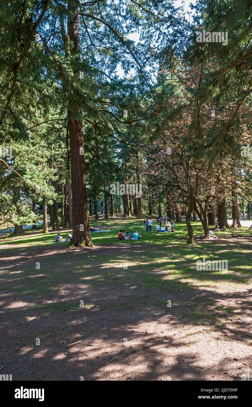 Picknicker im Mount Tabor Park in Portland, Oregon. Im Hintergrund befindet sich eine Statue. Stockfoto