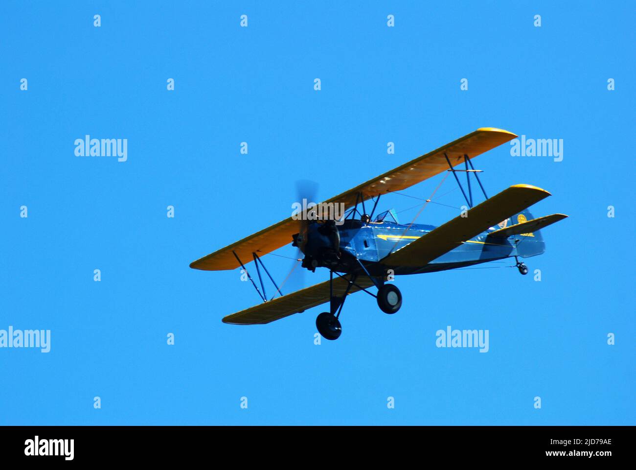 Ein alter Davis D1W kommt für eine Landung auf dem Rhinebeck Aerodrome im Bundesstaat New York Stockfoto