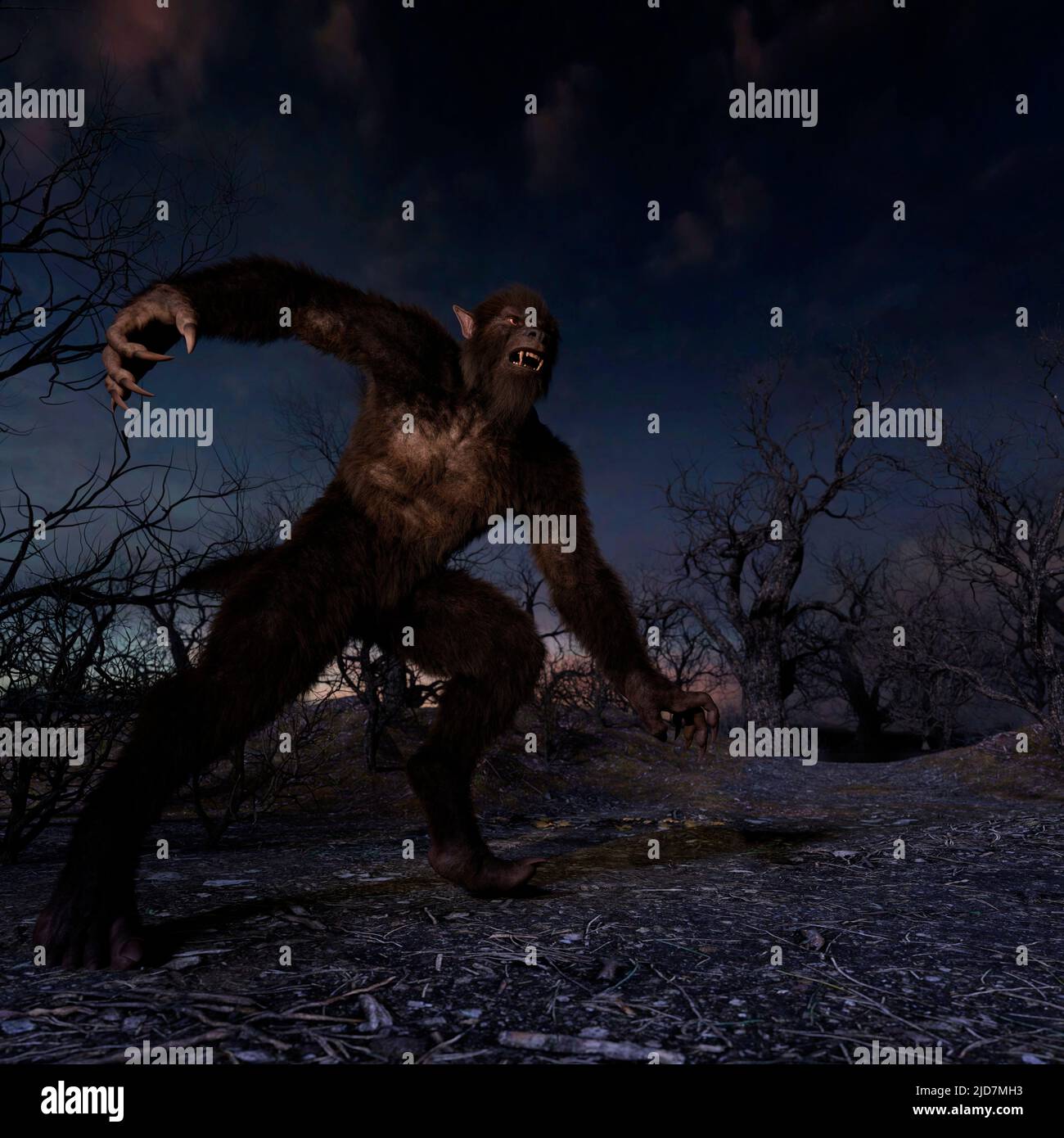 Illustration eines Werwolf in der Nacht im gruseligen Forest - 3d-Rendering Stockfoto