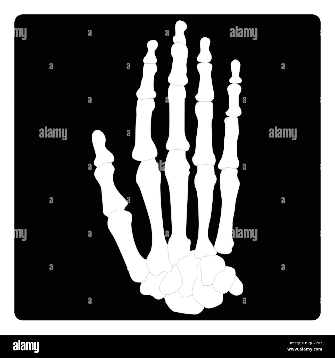 Hand X-ray Glyph Symbol, Medizin und Gesundheitswesen, Radiologie Zeichen Vektorgrafik, ein solides Muster auf einem weißen Hintergrund Stock Vektor
