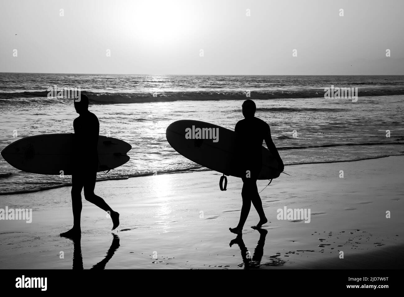 Silhouette von Surferleuten, die ihr Surfbrett am Strand bei Sonnenuntergang tragen. Stockfoto