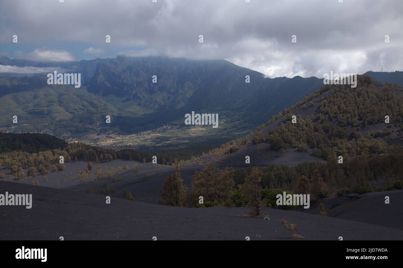 La Palma, Landschaft des zentralen Teils der Insel, in El Paso Gemeinde schwarze Dünen von Vulkanasche aus 2021 Vulkan, Canary Pines Stockfoto
