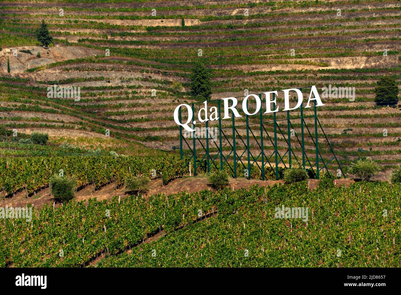 Quinta da Roeda und Weinberg am Ufer des Douro in Pinhao, Portugal Stockfoto