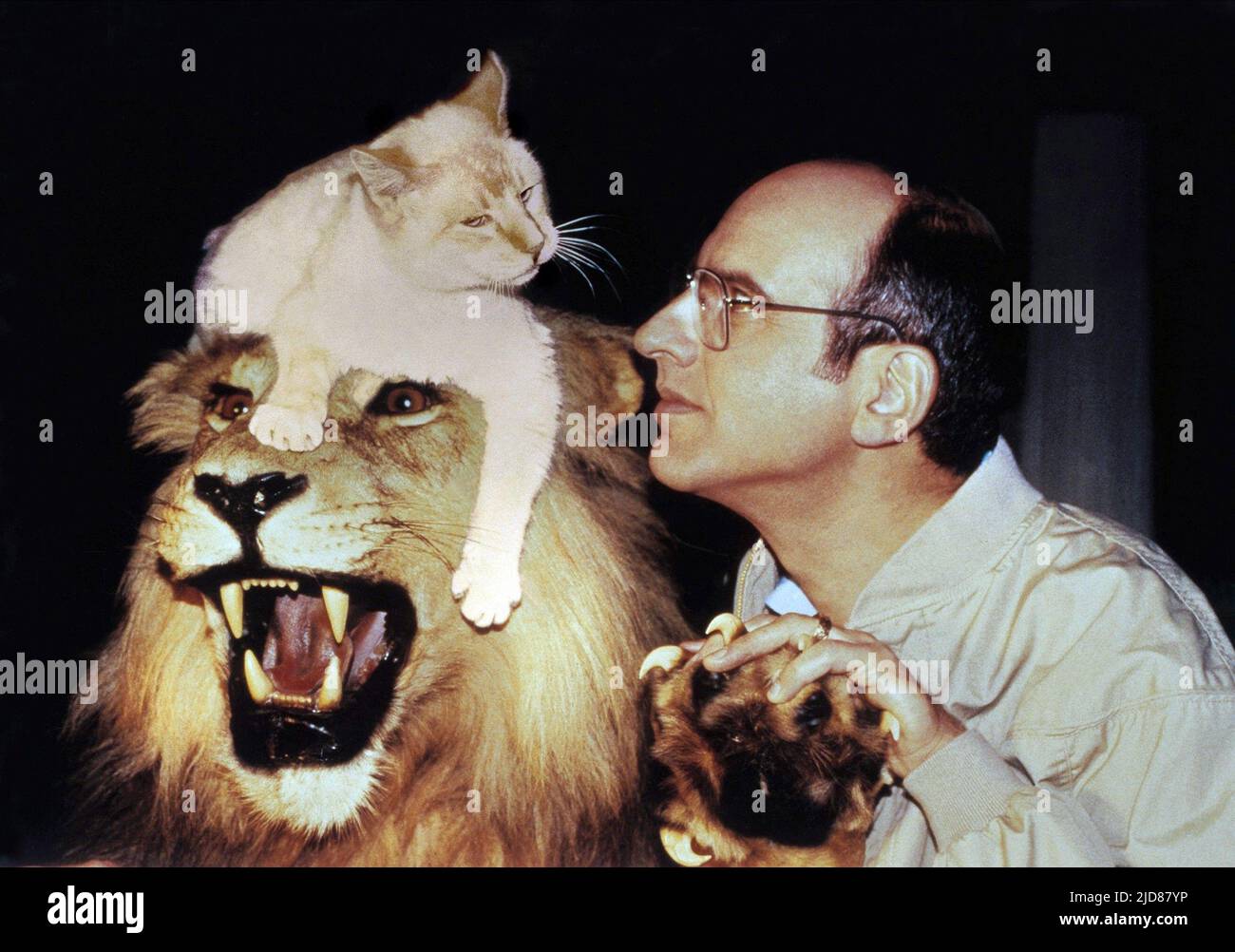 LION, CAT, WYNER, DIE REICHSTE CAT DER WELT, 1986, Stockfoto