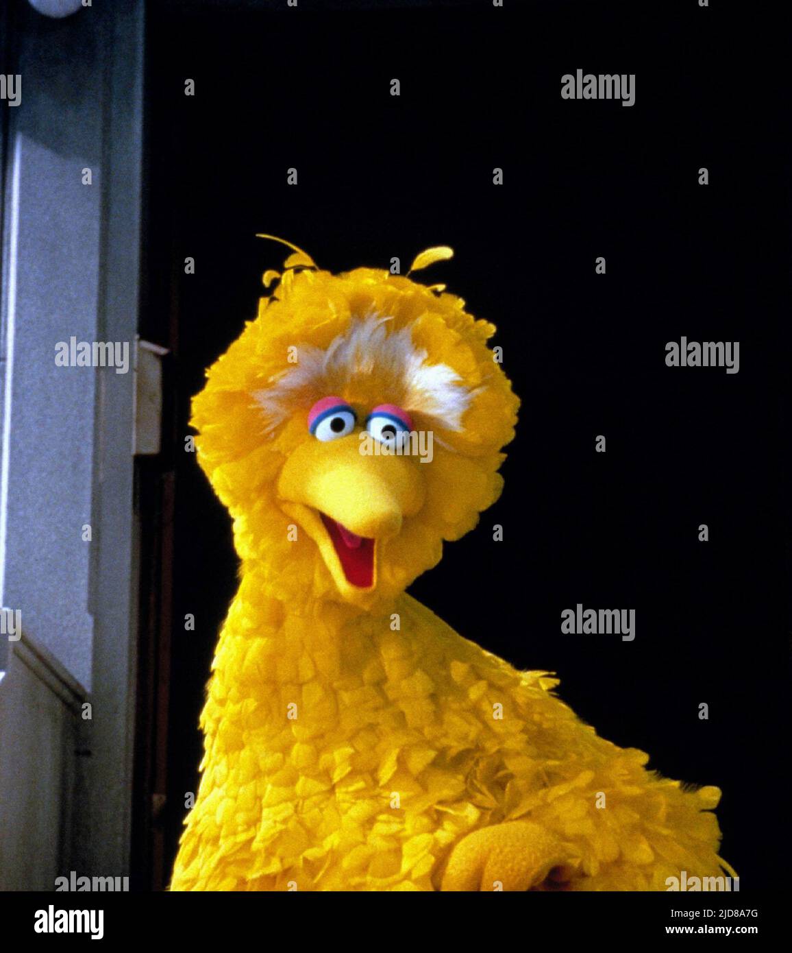 BIG BIRD, DIE ABENTEUER VON ELMO IN GROUCHLAND, 1999 Stockfoto