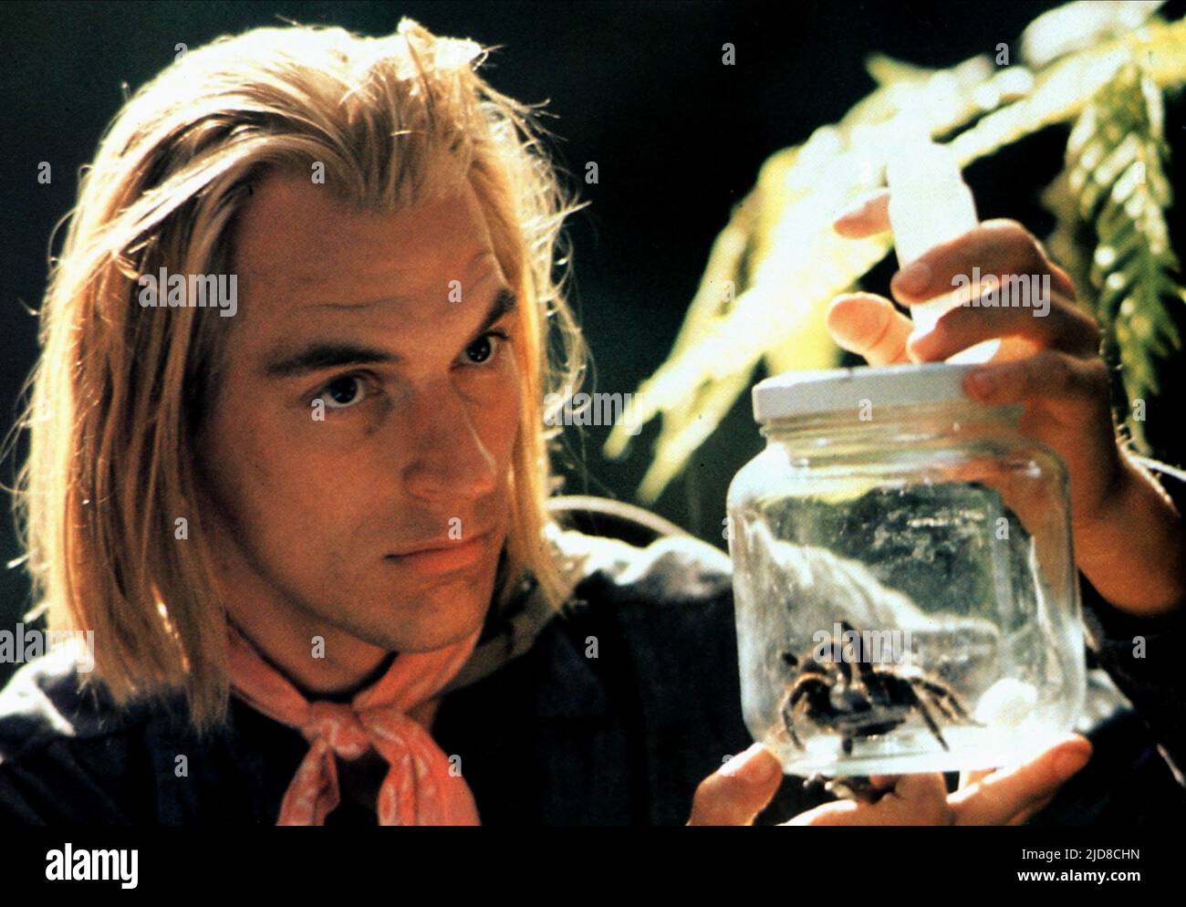 SANDS, SPIDER, ARACHNOPHOBIE, 1990 Stockfoto