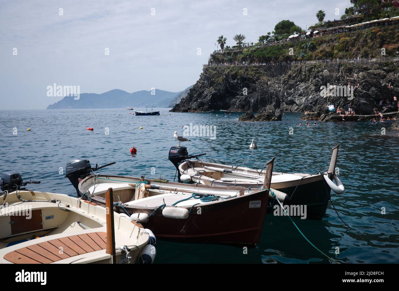 Manarola, Ligurien, Italien - Mai 2022: Kleine Motorboote liegen in der Bucht im Nationalpark Cinque Terre an der italienischen Riviera. Seagull sitzt auf dem Motor Stockfoto