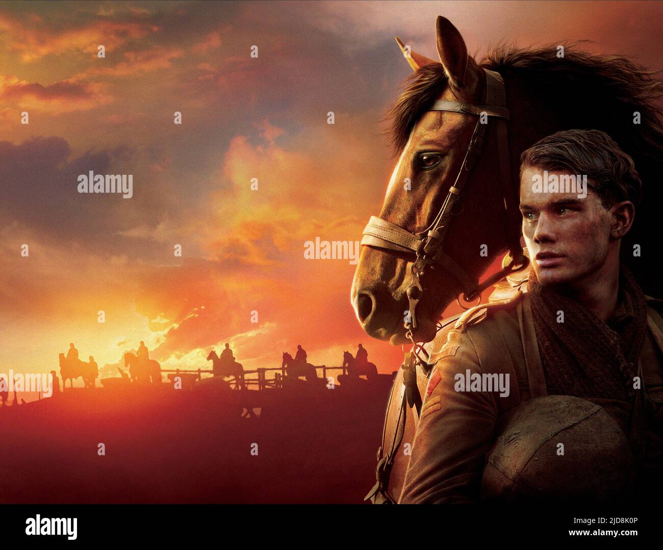 JEREMY IRVINE, KRIEGSPFERD, 2011, Stockfoto