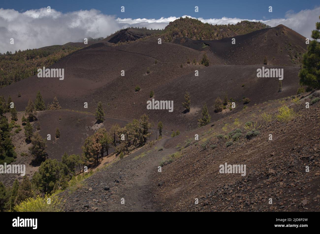 La Palma, Landschaften entlang der langen beliebten Wanderroute Ruta de Los Volcanes, die entlang des Kamins der Insel von El Paso nach Fuencaliente führt Stockfoto