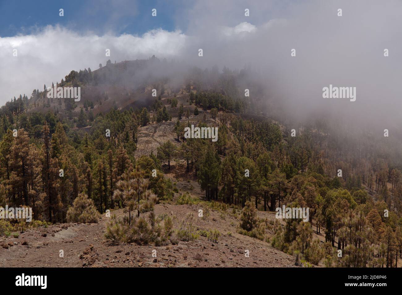 La Palma, Landschaften entlang der langen beliebten Wanderroute Ruta de