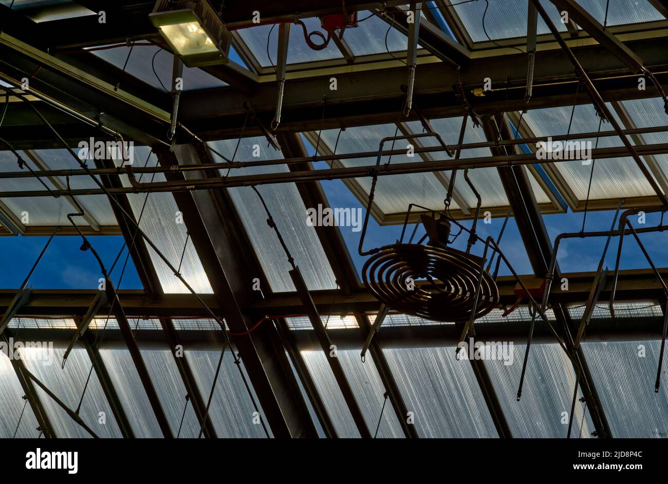 Blick auf den blauen Himmel durch die Dachkonstruktion aus Acrylglas und Stahl in einem Fabrikgebäude Stockfoto