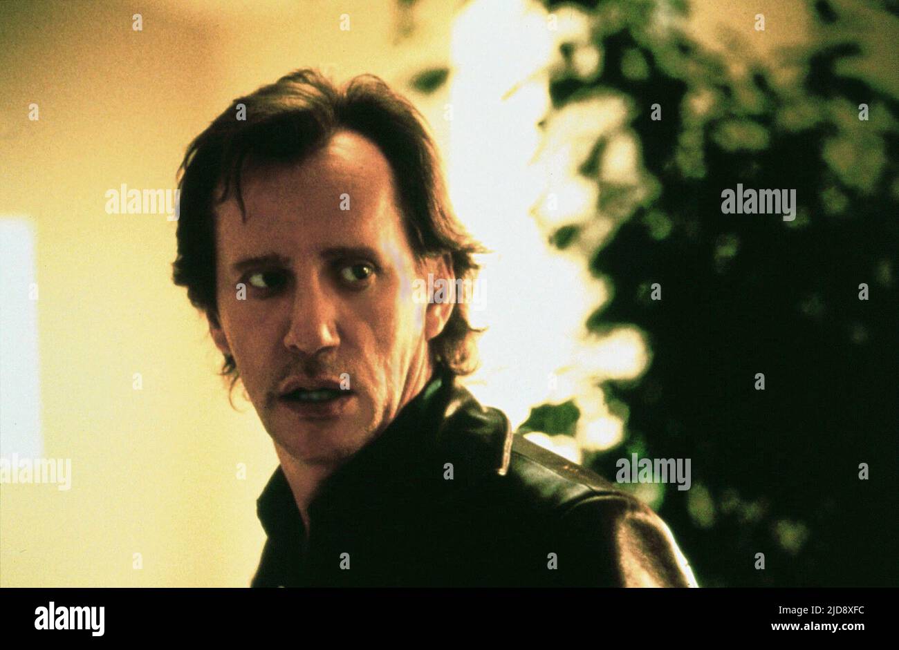 JAMES WOODS, EIN WEITERER TAG IM PARADIES, 1998, Stockfoto