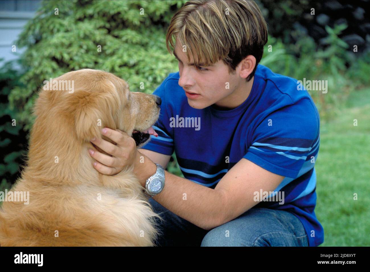 KEVIN ZEGERS, AIR BUD: SEVENTH INNING FETCH, 2002, Stockfoto