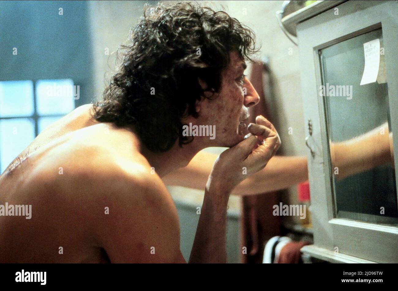 JEFF GOLDBLUM, DIE FLIEGE, 1986, Stockfoto