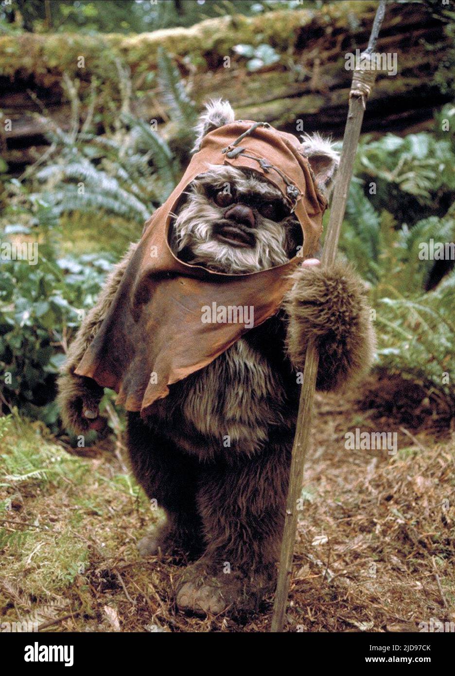 EWOK, STAR WARS: EPISODE VI - RÜCKKEHR DER JEDI, 1983, Stockfoto