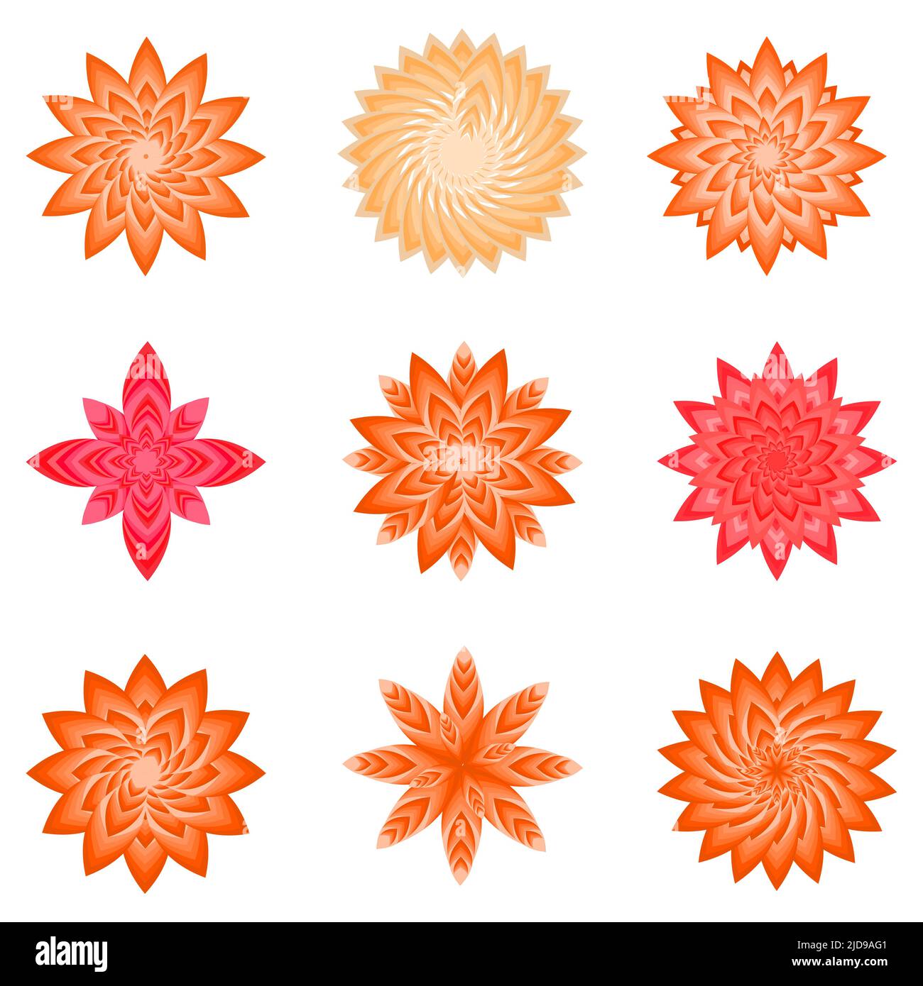 Sammlung von orange Blume botanischen Blütenblatt Pflanze Symbol Element Dekoration abstrakter Hintergrund isoliert vintage Muster Vektor Illustration Stock Vektor