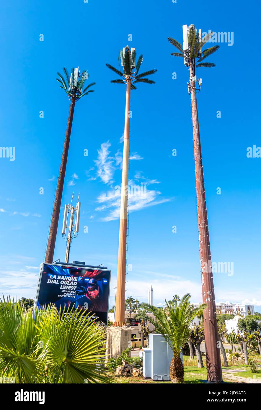 Sonnenkollektoren auf den plastischen Palmenkonstruktionen in Casca, Marokko Stockfoto