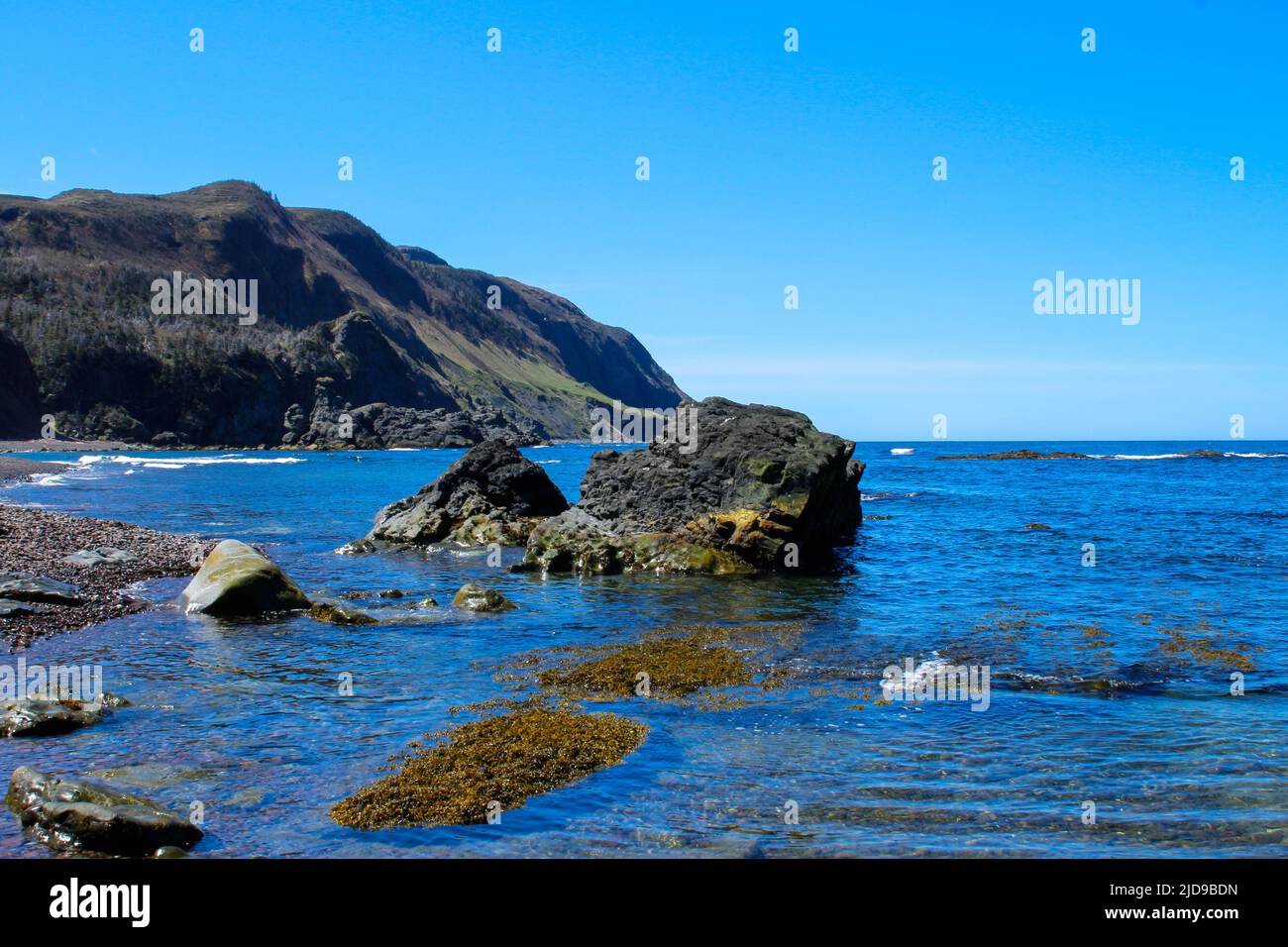 Tafelberge des Gros Morne National Park im Hintergrund, Neufundland, Kanada Stockfoto