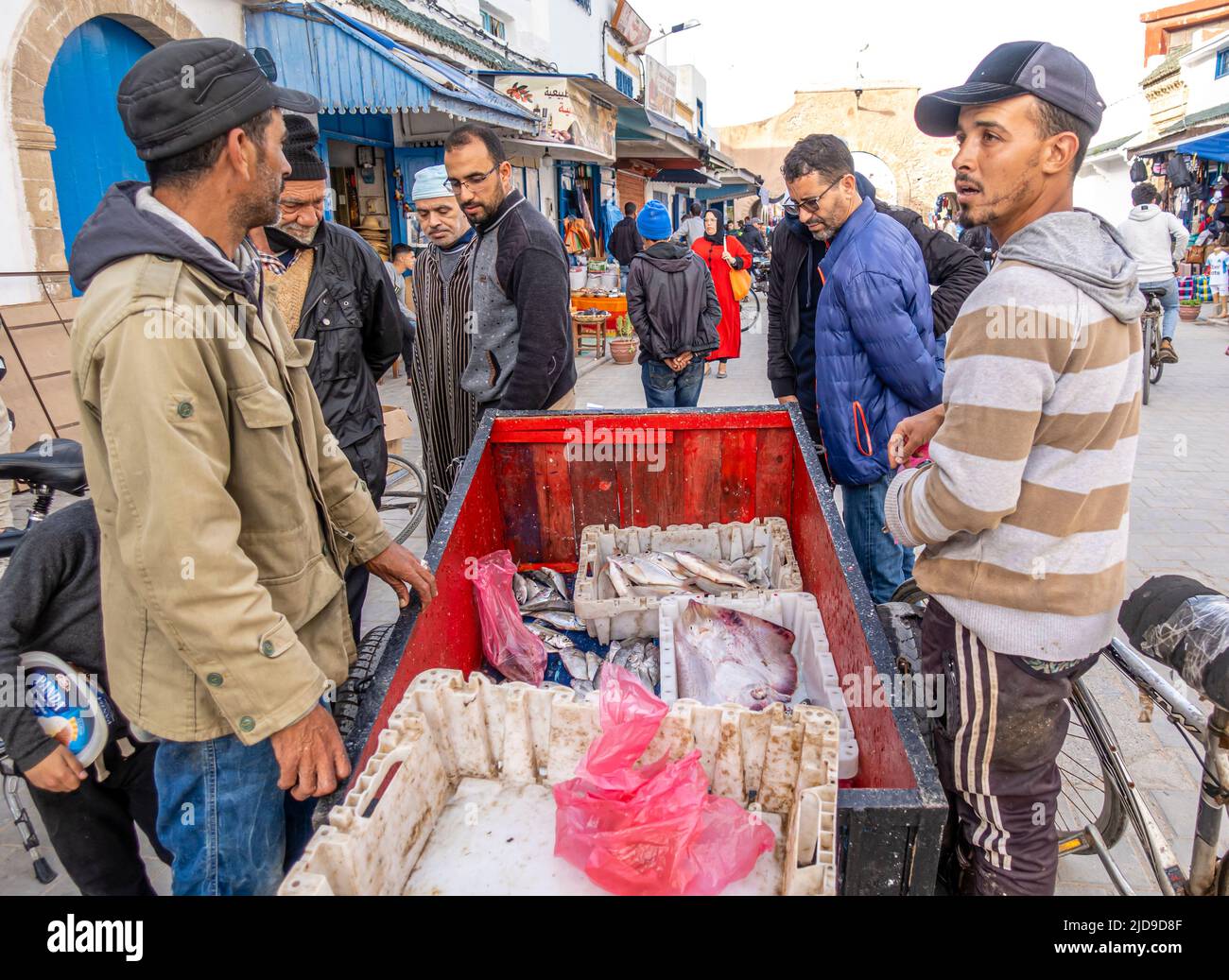 Verkäufer verkaufen frisch gefangenen Batoids Meeresfrüchte auf der Straße beliebt bei Touristen und Einheimischen in Medina von Essaouira, Marokko. Stockfoto