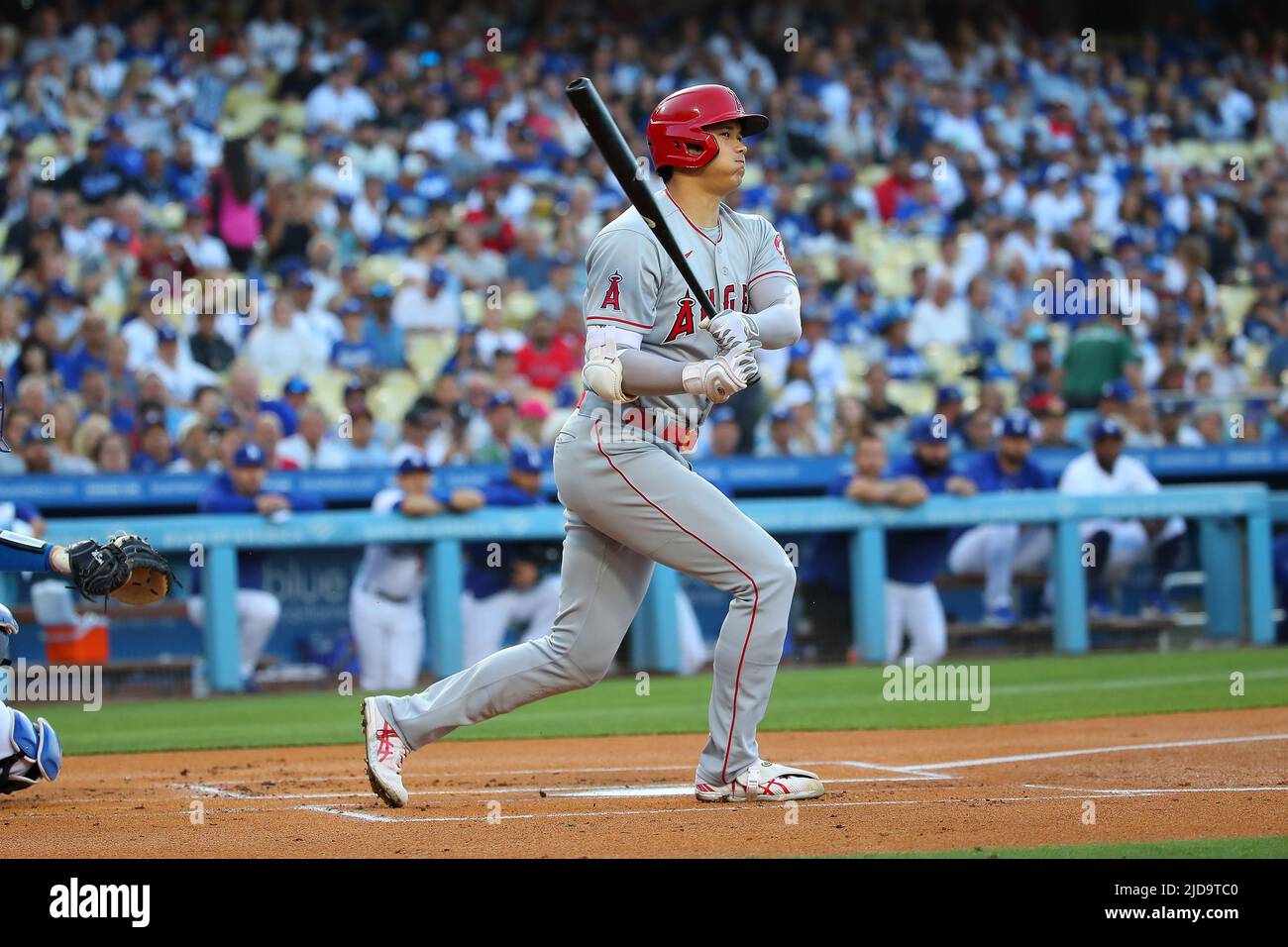 Los Angeles Angels Shohei Ohtani (17) beobachtet seinen Hit während eines MLB Baseballspiels gegen die Los Angeles Dodgers am Mittwoch, Juni. 15, 2022, in Los Angeles. Die Dodgers besiegten die Angels mit 4:1. (Kevin Terrell/Image of Sport) Stockfoto