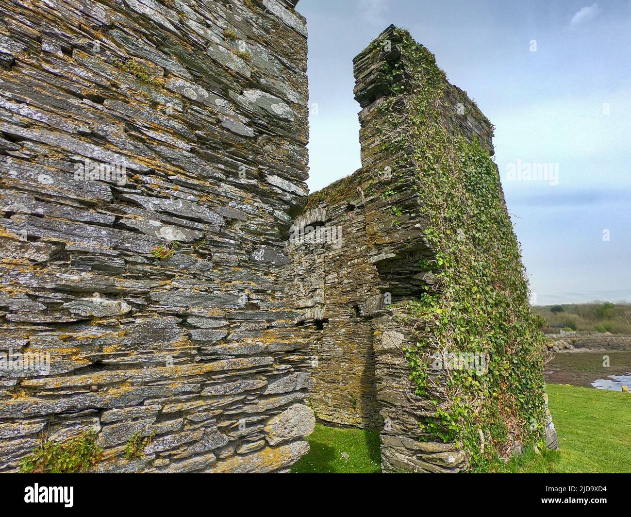 Eine alte Steinmauer mit Pflanzen überwuchert. Mittelalterliche Ruinen. Arundel Grain Store, Ring, in der Nähe von Clonakilty, West Cork. Der Getreidespeicher des 16.. Jahrhunderts wurde gebaut Stockfoto