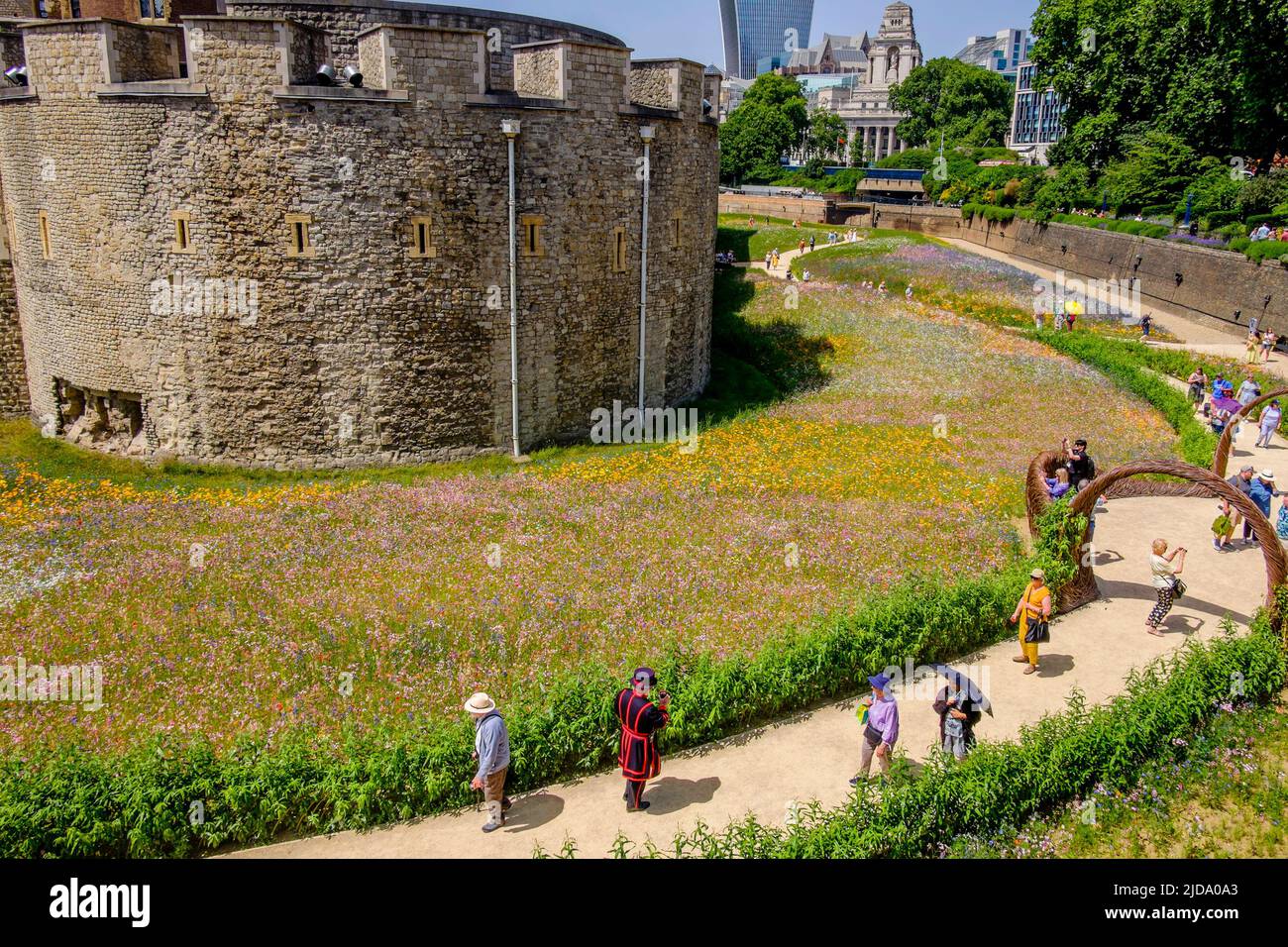 Superbloom am Tower of London; eine Landschaft aus Wildblumen, die aus über 20 Millionen Samen gesät wurden, um das Platin-Jubiläum der Königin zu feiern. Stockfoto