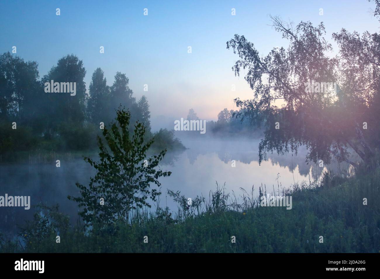 Früher Sommermorgen - Nebel über dem Fluss vor der Dämmerung, eine geheimnisvolle Landschaft. Stockfoto