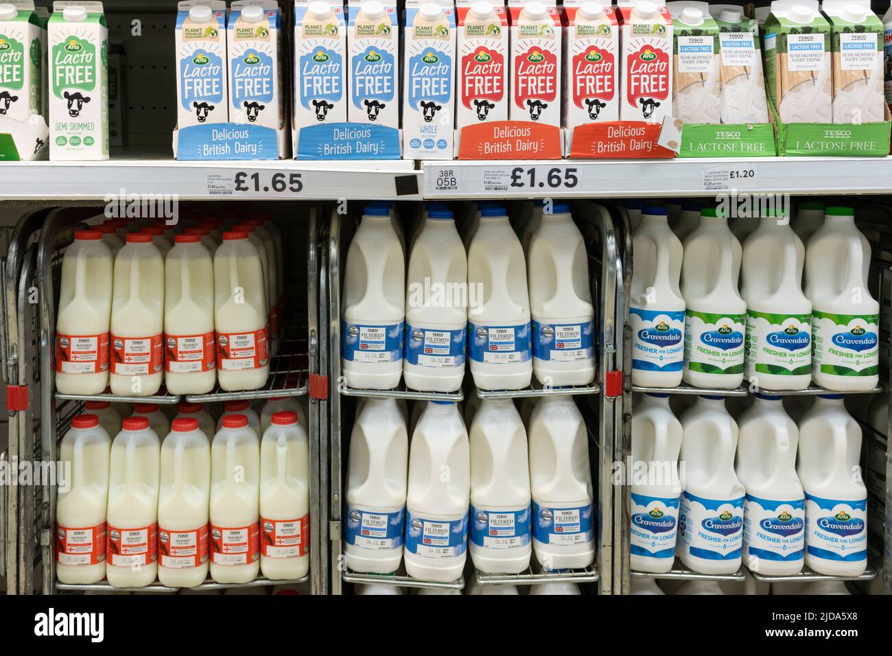 Supermarktregale mit regulärer Milchmilch in Kunststoffbehältern und laktosefreier Milch in Kartons bei Tesco, einem britischen Supermarkt Stockfoto