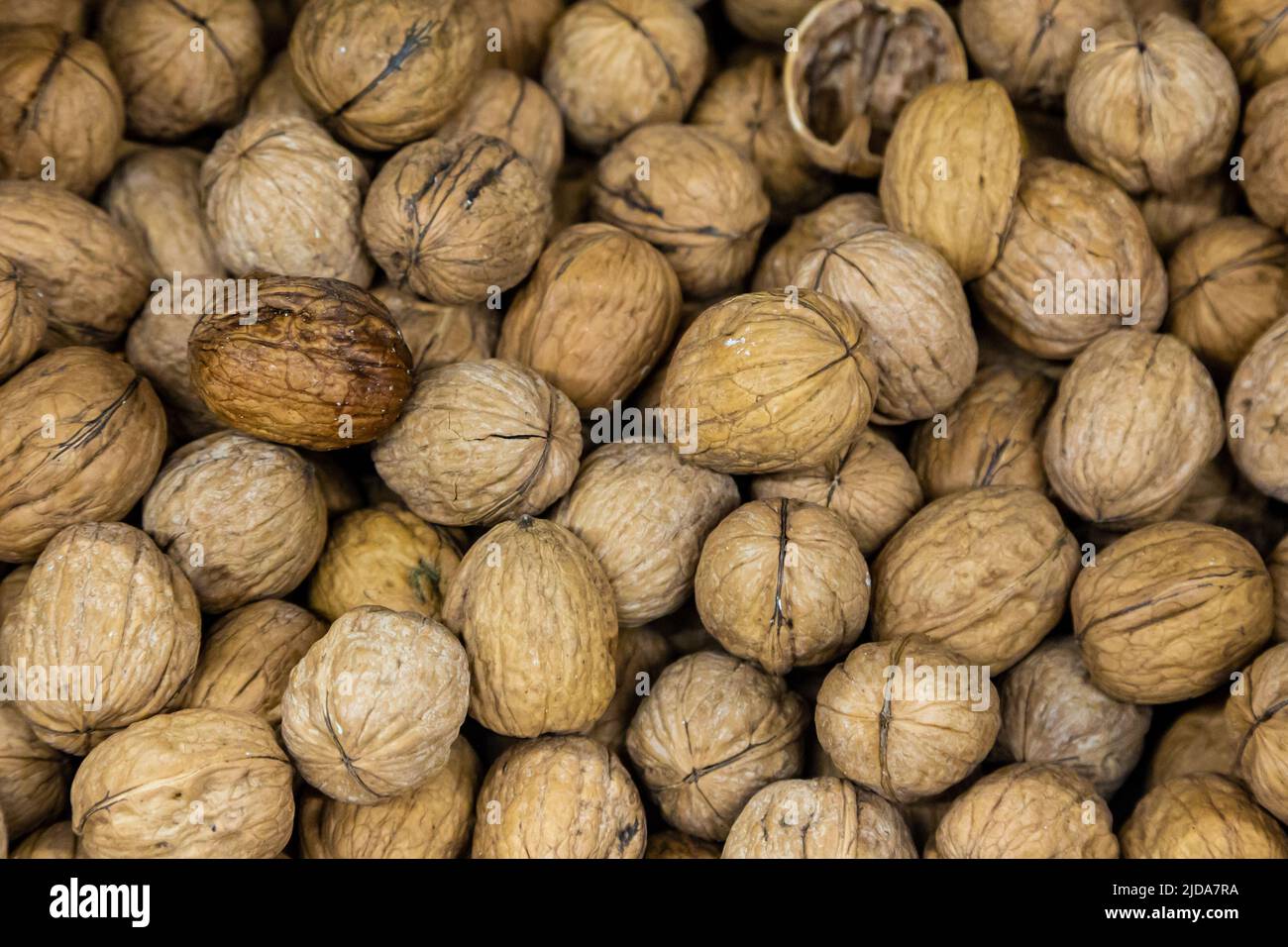 Blick auf eine Fülle von Walnüssen mit geringer Schärfentiefe Stockfoto
