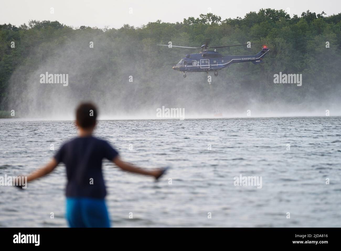 Seddin, Deutschland. 19.. Juni 2022. Ein Hubschrauber der Bundespolizei nimmt am Seddin-See Wasser auf, um Waldbrände in Treuenbrietzen und Beelitz zu bekämpfen. Quelle: Jörg Carstensen/dpa/Alamy Live News Stockfoto