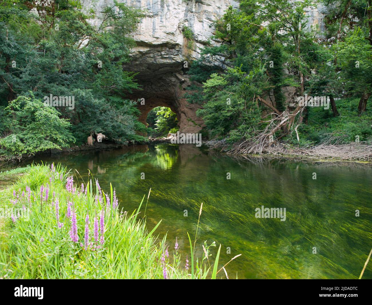 Große Naturbrücke in Rakov Skocjan Stockfoto