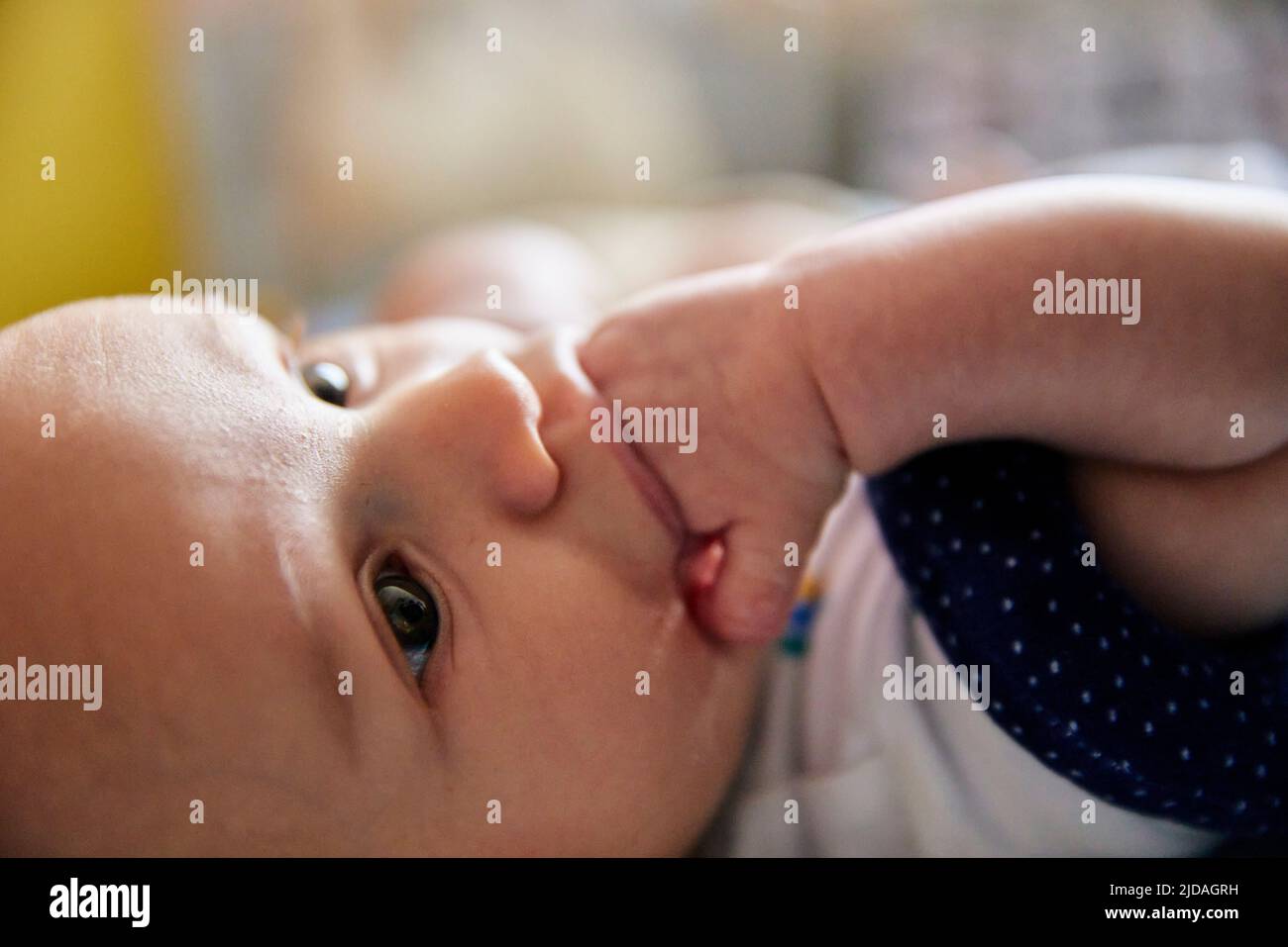 Nahaufnahme eines drei Monate alten Jungen, der sich hinlegt und seine Finger saugt Stockfoto