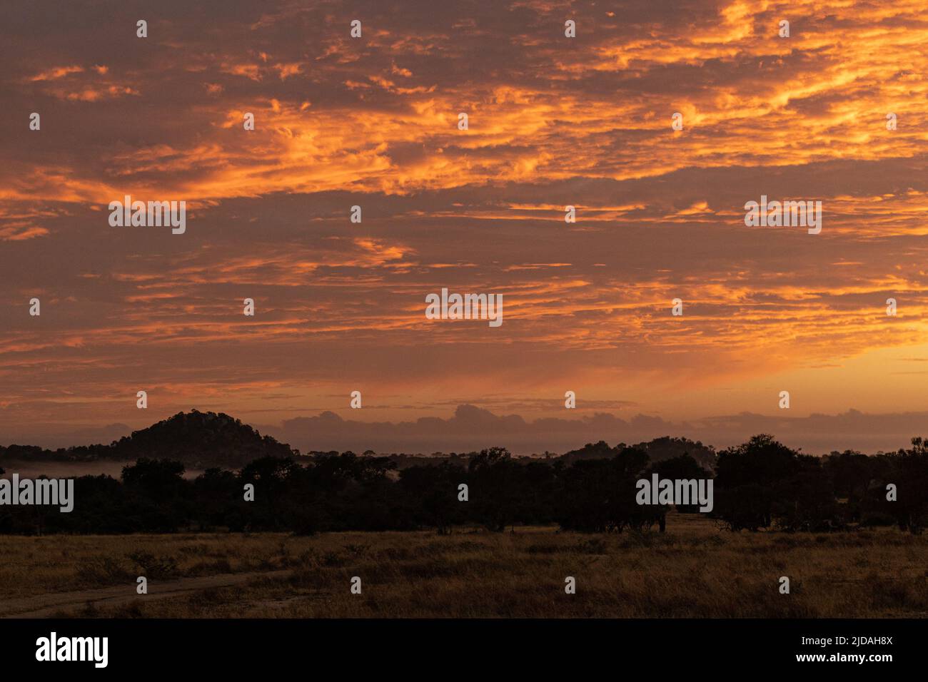 Ein Sonnenaufgang über afrikanischem Savannengelände Stockfoto