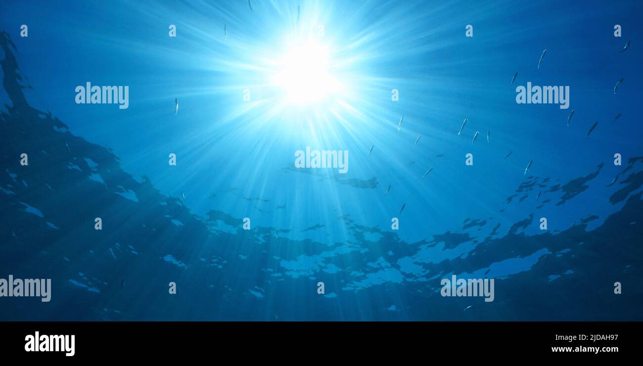 Helles Sonnenlicht mit Sonnenstrahlen unter der Wasseroberfläche im Meer mit einigen kleinen Fischen, natürliche Szene, Mittelmeer Stockfoto