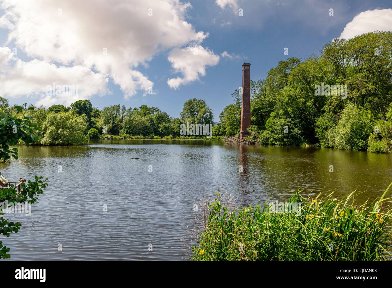 Stack Pools Angelsee in Springfield Park, Kidderminster, Worcestershire, England. Stockfoto