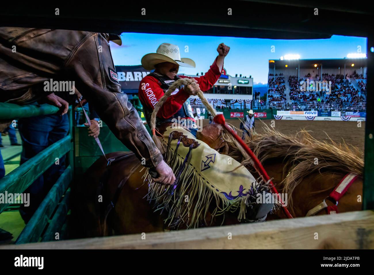 Reno, Usa. 18.. Juni 2022. Sage Newman lässt die Rutschen während des Reno Rodeo, das zum 103.. Mal im Tierhaltungszentrum stattfindet, in einem Bronco-Sattel liegen. Das Reno Rodeo findet seit 103. Jahren statt. Kredit: SOPA Images Limited/Alamy Live Nachrichten Stockfoto