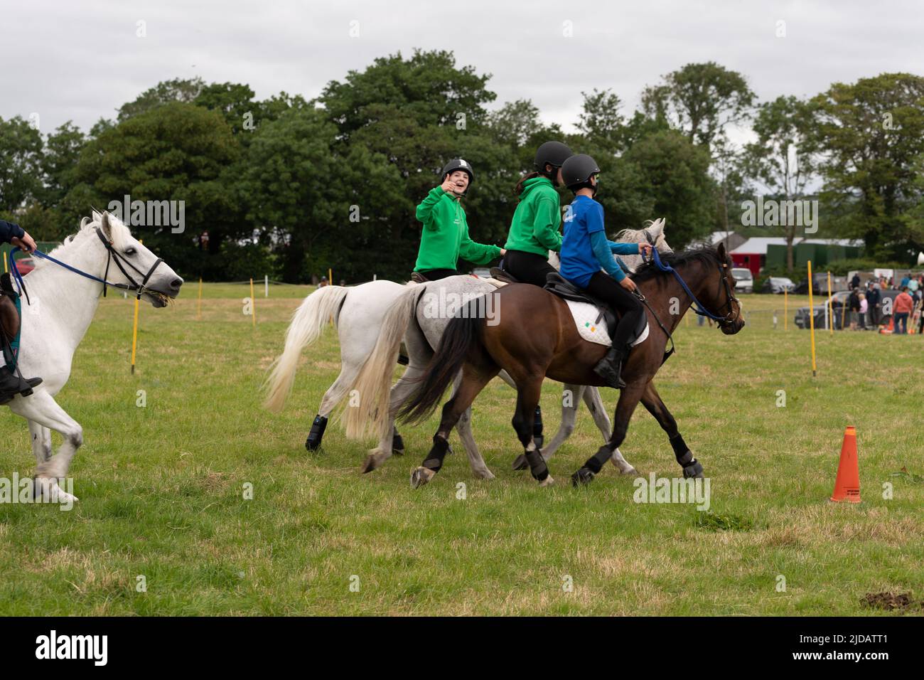 Wettbewerb Springreiten, die Reiterin überspringt die letzte Hürde des Dreisprungs Stockfoto