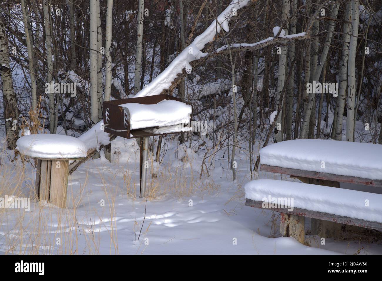 Picknickbereich mit Schnee auf Tisch, Grill und Bank. Stockfoto