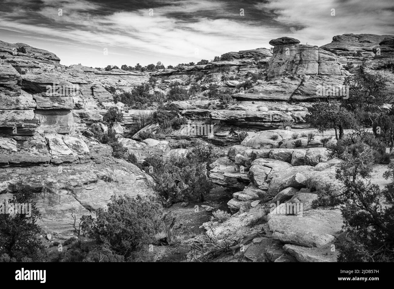 Schwarzweißbild der wunderbaren Geologie im Big Spring Canyon im Canyonlands-Nationalpark; Moab, Utah, Vereinigte Staaten von Amerika Stockfoto