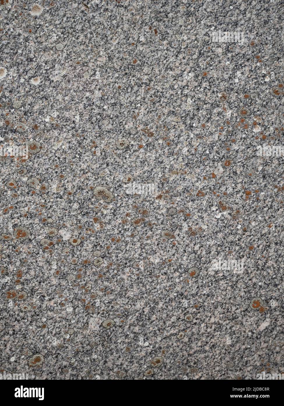 Grauer Granitstein Hintergrund mit orangen Flechten. Stockfoto