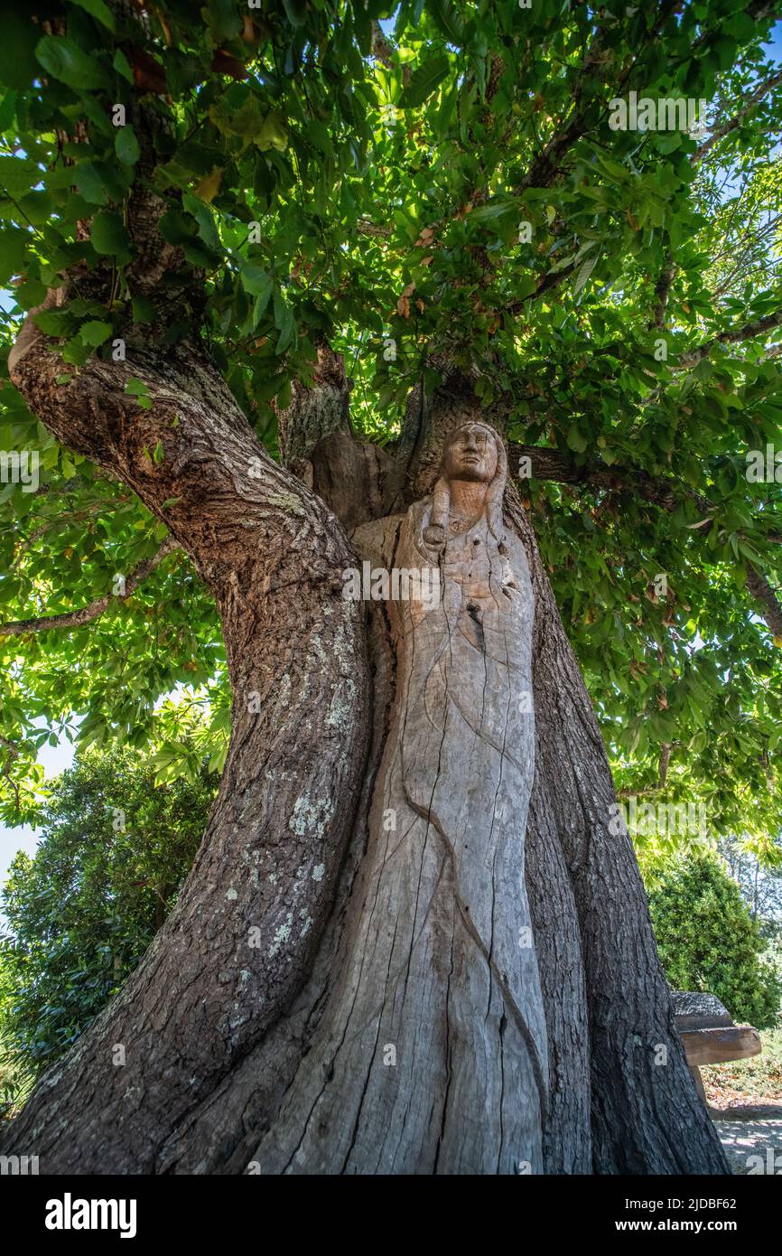 Mutter-Kind-Statue der amerikanischen Ureinwohner, die im Regionalpark der Ragle Ranch in Sebastopol, Kalifornien, in das Holz eines Kastanienbaums gehauen wurde. Stockfoto