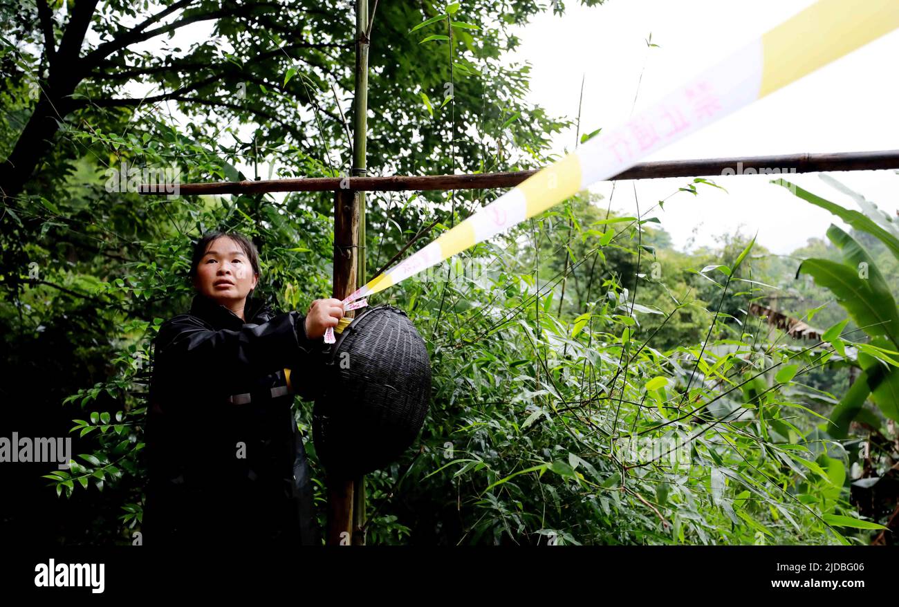 LIUZHOU, CHINA - 19. JUNI 2022 - im Dorf Anning, Stadt Chang 'an, Bezirk Rongan, Stadt Liuzhou, im südchinesischen Guangxi Z, wurde eine Polizeiabsperrung eingerichtet Stockfoto